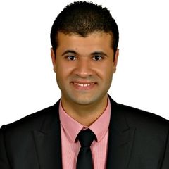 Mohammed Gamal Darwish, Sales Area