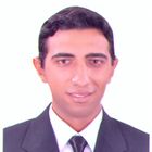 Amr Bakr, site engineer