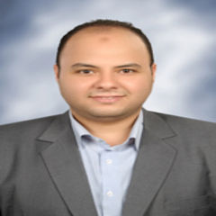 Wael Fathy AboElFotouh Shaaban, Chief Accountant