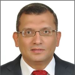 Dr. Mahmoud Sarhan, Senior Project Manager