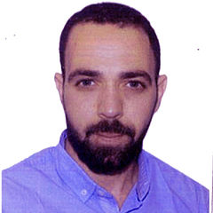 Mahmoud Ramzy Hassan HASSIB, سكرتير تنفيذي
