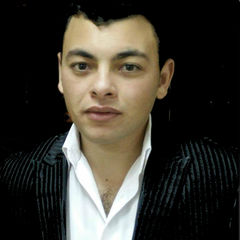 Ali Zaghloul, Dcs Panel Operator