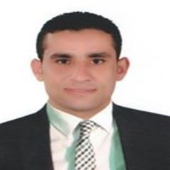 Ahmed Roshdy, Accountant