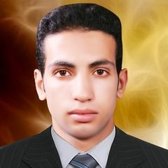 Saad Mahmoud Ahmed Abourizk, Technical Validation Section Head