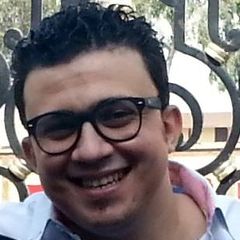 محمد عبد الفتاح عبد الحميد محمد الشريف, UI/UX Design Team Leader