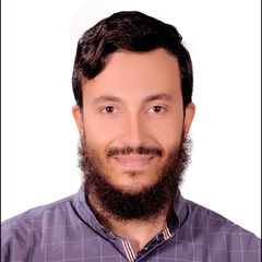 Mokhtar hosny mohammed  husien, (Lecturer (Online