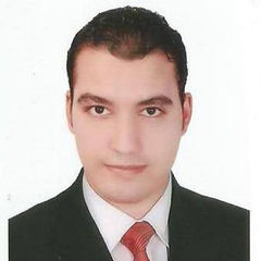Mohamed Reda, java developer