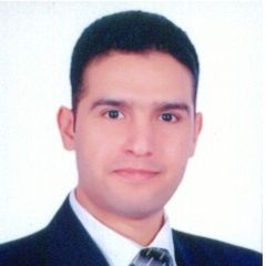 احمد سعيد احمد الطوخي, chief accountant