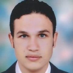 Salah mohamed gamal abdelmonem alhokamy