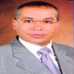 ehab  melegy, Director Of Finance