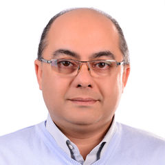 محمد فهمي, Business Director
