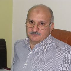 Mohamed Shalaby, Financial Director