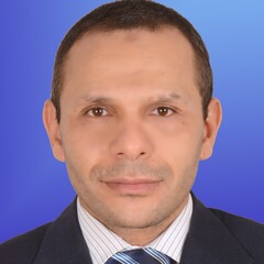 Mahmoud Asaad Hassan Elsayed