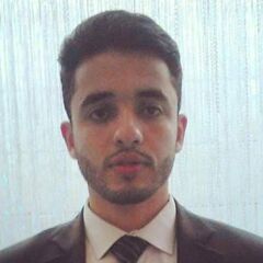 Mohammed Safwat Abd Elmoneam  Fayed