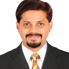 Atul Krishna Kumar, Energy Consultant