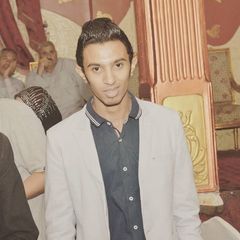 Mohamed Bakr Mohamed, .Net developer
