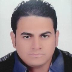 Hassan Elsherbiny, .Net Developer