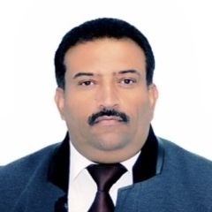 محمد عبدالعزيز علي الهجام, استشاري محاسبة