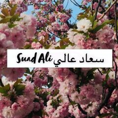 Suad Ali, Counselor