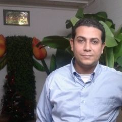 عمرو عزو, Sales Executive