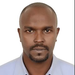 Jihad Abdel mageed ahmed