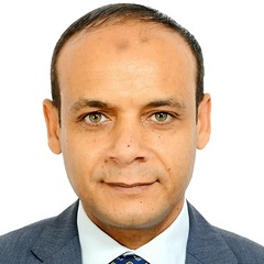 Karim Said Korany Hassan, Sales Manager
