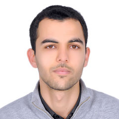 Naim Belhaj, Import Export Assistant