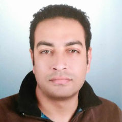 mahmoud mustafa  elshafae, wireless communication engineer