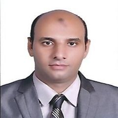 Hisham Afifi, رئيس حسابات