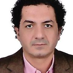 محمد شفيق الحسينى , Cost Accountant