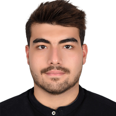Mohammed Mohieb, Electrical Project Engineer