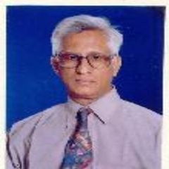 راجو satyanarayana sagi, Faculty Member - Professor