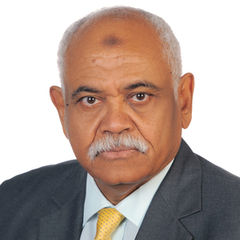 Mohamed Elsunni