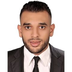 Amr Mahmoud  Farrag