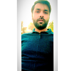 Zeeshan Bajwa, Sales Executive