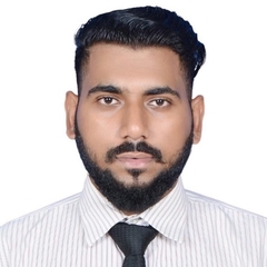 Syed Adil, SAP ERP Consultant