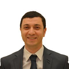 Ahmed Gad, Business Intelligence Systems Developer