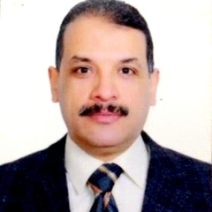 Profmohamed Elsalhy