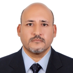 Wael Shawgi Awad Mhmoud Dongolawi, مهندس موقع استشاري 