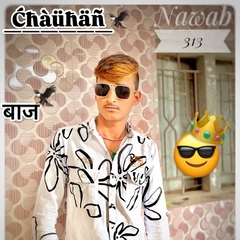 CHAUHAN  NARJADBHAI