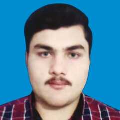 Syed Saim Ali 