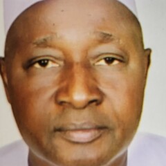 Mohammed  Alhaji Sani 