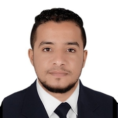 Hesham Mohamed