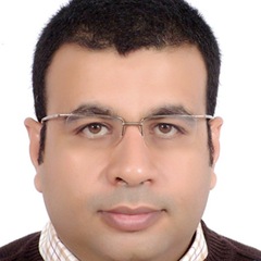 Sameh Baraka, Senior Drilling & Workover Supervisor (DSV)