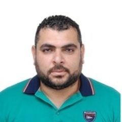 أحمد عبد الملك صلاح الدين القادري, IT and network engineer