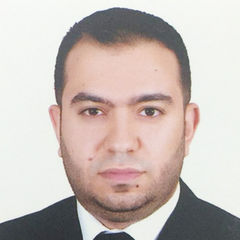 HASSAN M MOSTAFA, Project/technical & Business Manager 