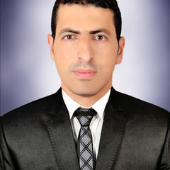 مدحت صالح محمد محمد عبدالفتاح, مندوب مبيعات
