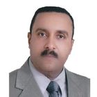 ibrahim elsawy, manager