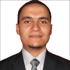 Ayman Mohammed Mahmoud El-Sayed