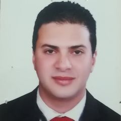 أحمد محمود محمود سكر, Head Cashier